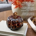 thumbnail image 3 of Farm Apple Pumpkin Scented 2 Wick Confetti Figural Pumpkin Jar Candle, Aromatherapy Glass Pumpkin Candle Perfect for Autumn Parties and Daily Use, 3 of 8