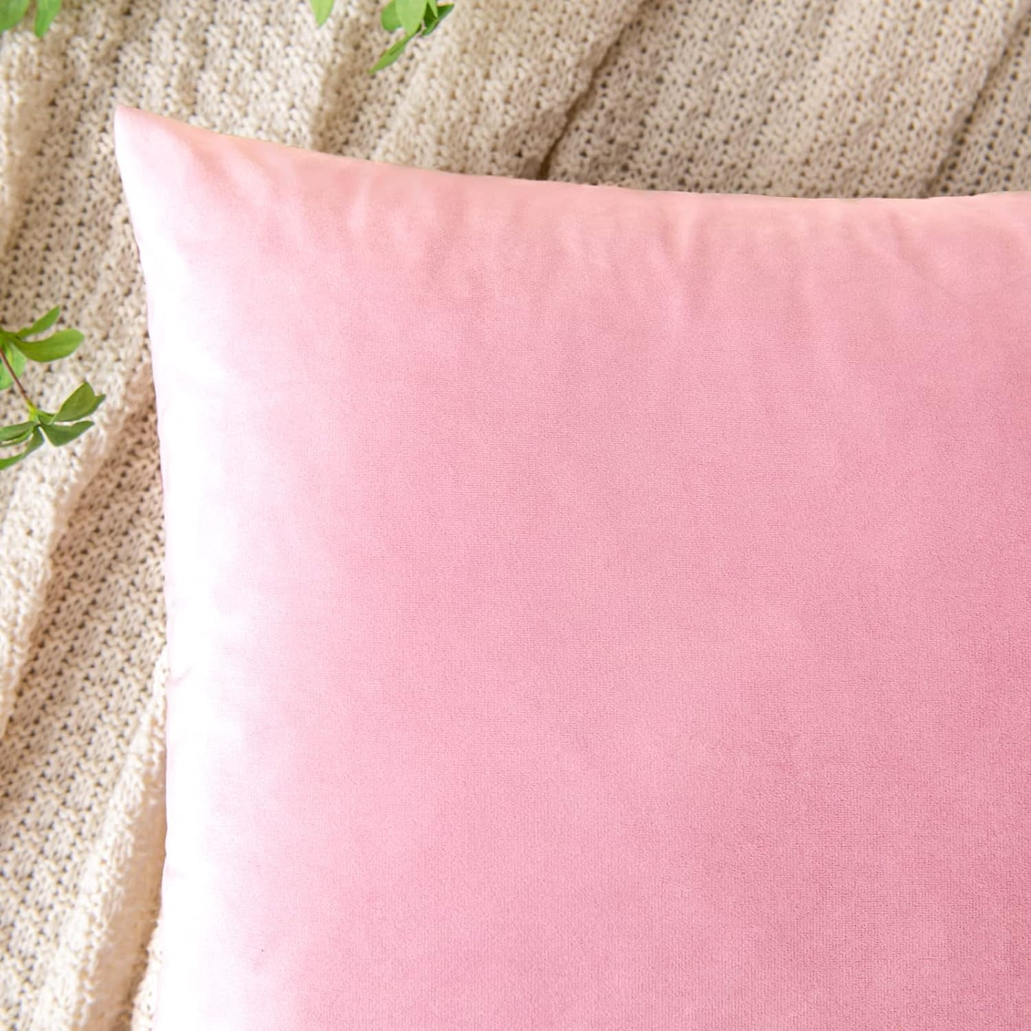 Dtwnek Pack of 2 Velvet Throw Pillow Covers Decorative Pillow Case Solid Color Cushion Case for Couch Living Room Sofa Bedroom Car, 24x24inch