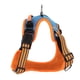 thumbnail image 4 of Chaleco Para Perros Arnés Pet Jewel Azul Malla Transpirable Ajustable, 4 of 7