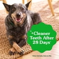 thumbnail image 4 of Greenies Original Dental Treats, Golosinas de cuidado dental para perros 54 oz (Paquete de 34 golosi, 4 of 8