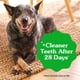 thumbnail image 4 of Greenies Original Dental Treats, Golosinas de cuidado dental para perros 54 oz (Paquete de 34 golosi, 4 of 8