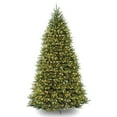 thumbnail image 2 of National Tree Company Pre-Lit Artificial Christmas Tree, Green, Clear Lights, Includes Stand, 10 Feet, 2 of 6