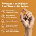 thumbnail image 2 of CocoaVia Cardio Health Supplement, 30 Day, 500mg Cocoa Flavanols, Support Heart Health, Boost Nitric Oxide, Blood Circulation, Energy, Vegan, Dark Chocolate, 60 Capsules, 2 of 5