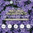 thumbnail image 5 of Capri Essentials Dish Soap Liquid - White Lavender - All Natural & Plant Based Aromatherapy Dish Detergent with Mood Boosting Essential Oils (16 fl. oz), 5 of 7