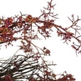 thumbnail image 2 of 24" Fall Harvest Burgundy Berry Artificial Wreath - Unlit, 2 of 3