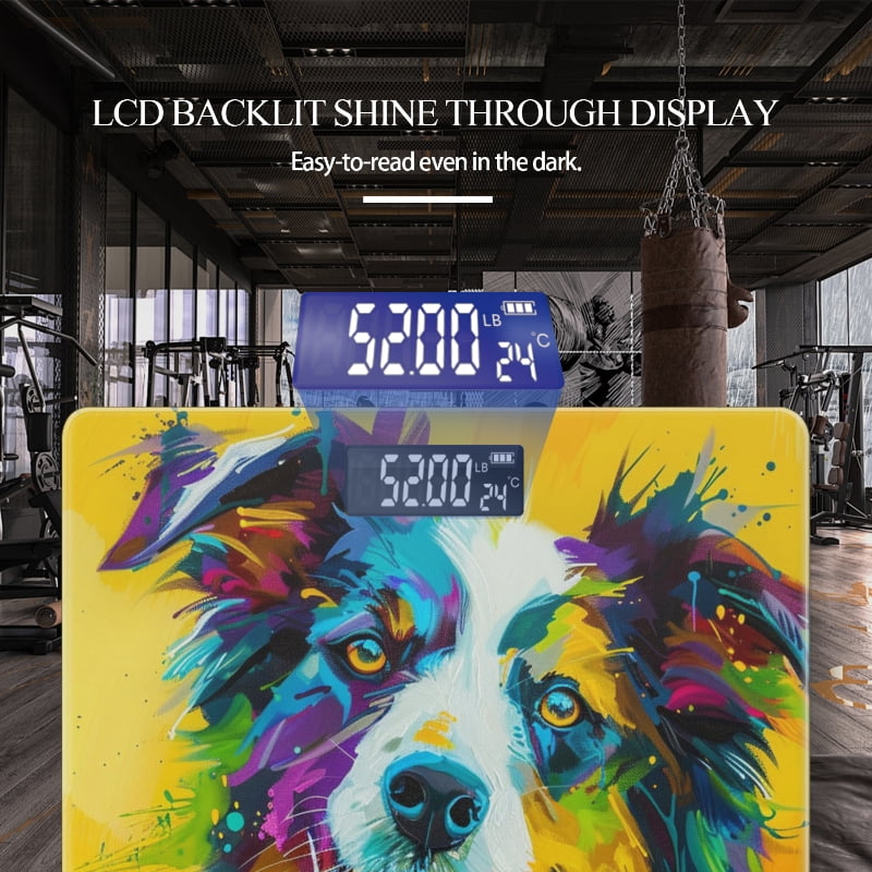 Bathroom Scale, Highly Accurate Digital Body Scale,Precisely Measures Weight up to 400 lbs-Colorful Portrait Of Australian Shepherd Dog