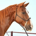 thumbnail image 2 of Martin Saddlery Chocolate Rope Nose Halter with 8ft Lead, 2 of 4