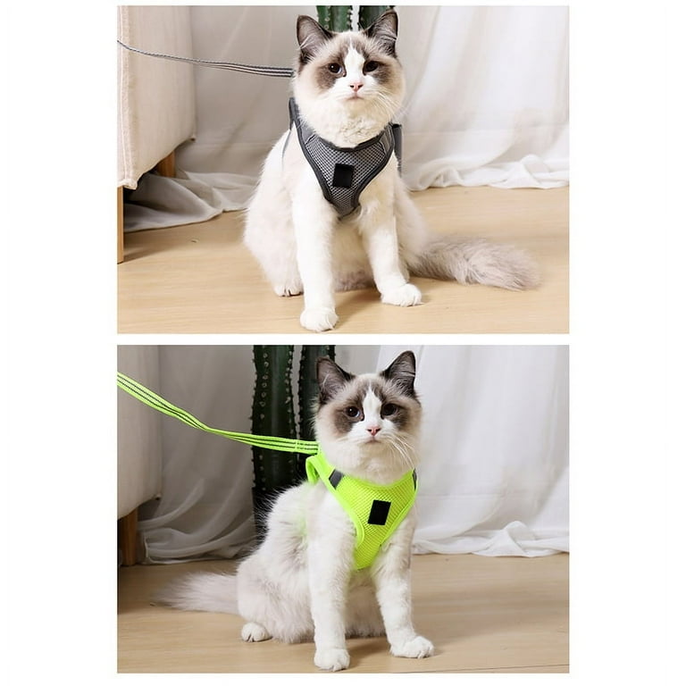 Harness for cheap cats walmart