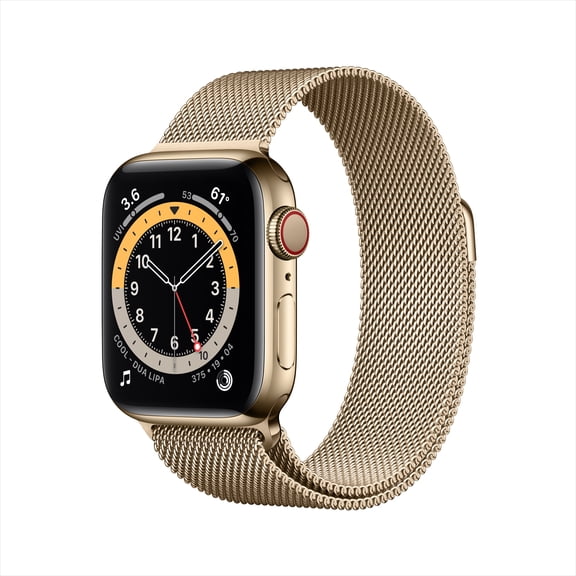 Apple Watch Series 6 GPS   Cellular, 40mm Gold Stainless Steel Case with Gold Milanese Loop