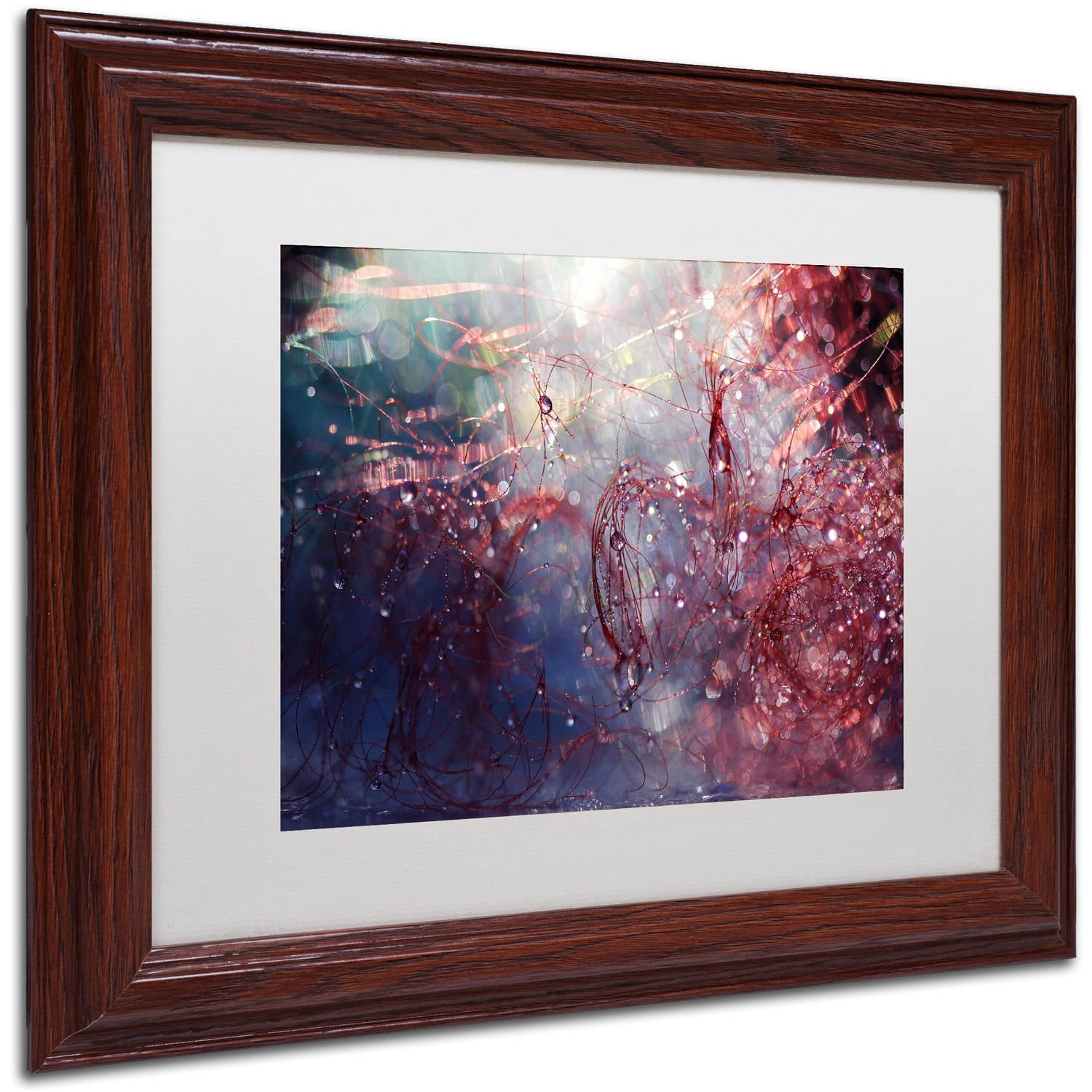 Trademark Fine Art "Adventures of Red" Canvas Art by Beata Czyzowska Young, White Matte, Wood Frame