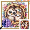 thumbnail image 1 of Diamante AB parcial diamante búho serie Animal diamante resina 40*40CM tamaño lienzo 45*45cm Likrtyny, 1 of 9