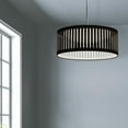 thumbnail image 3 of Pendentif Dainolite SDLED-20P-BK noir, 3 of 3