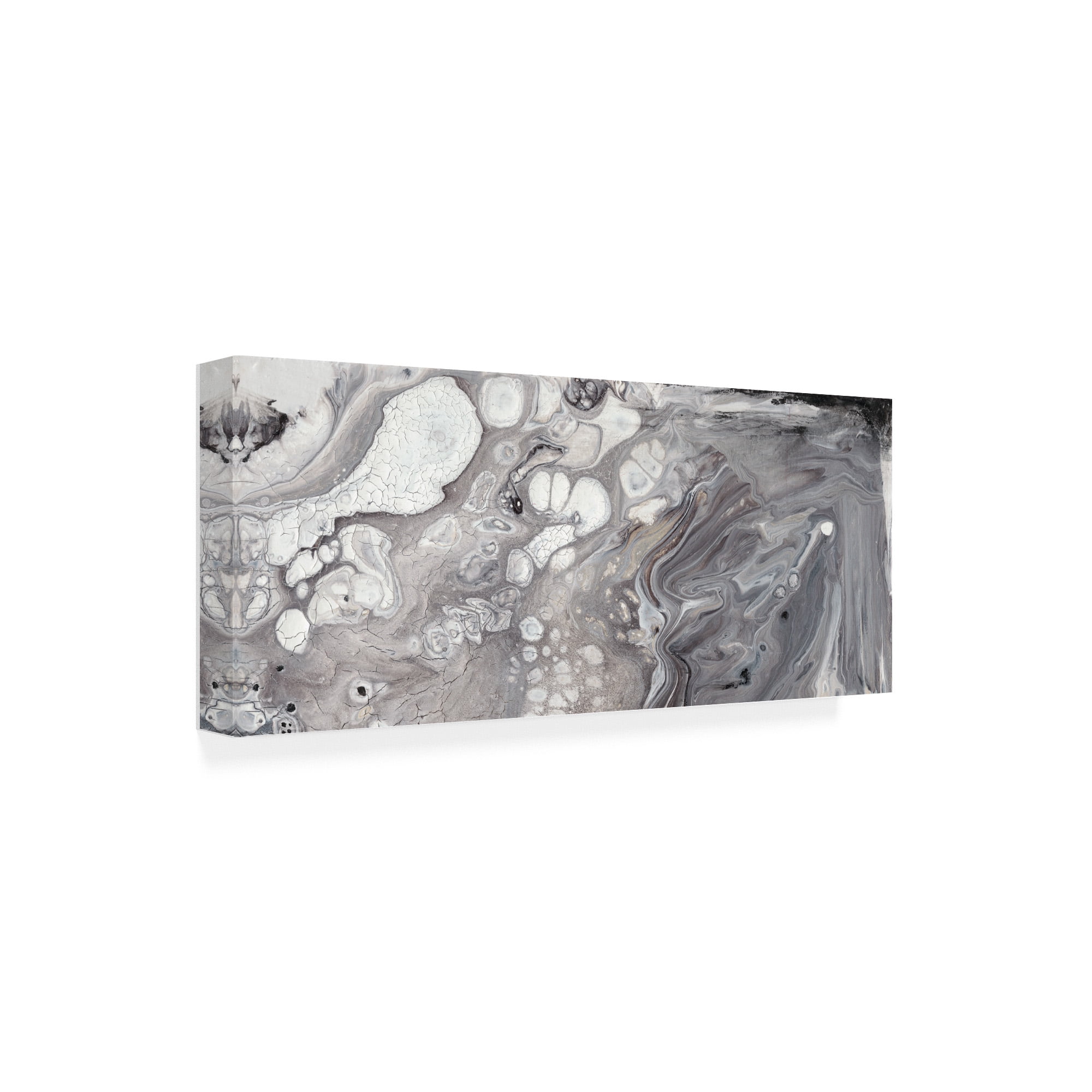 Trademark Fine Art 'Cycle I' Canvas Art by Lila Bramma