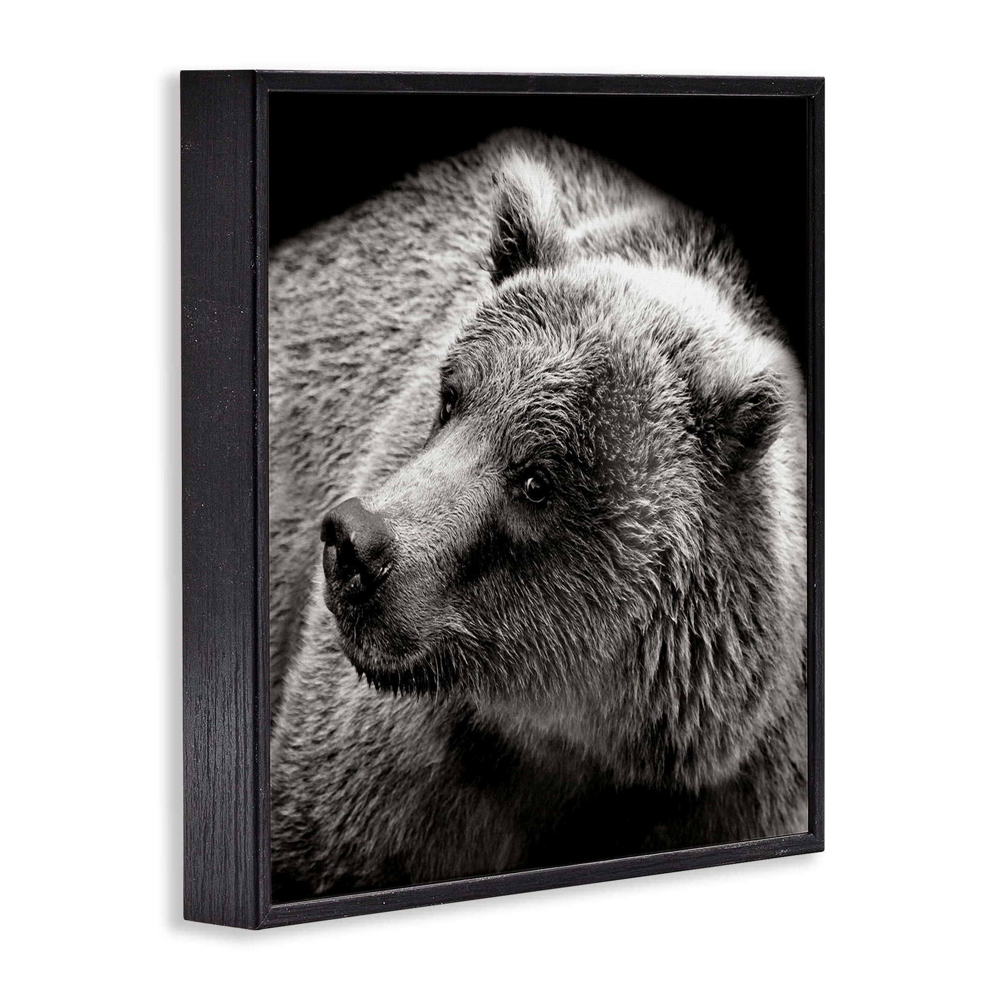 Stupell Industries Bear Looking Left Animals & Insects Photography Black Framed Art Print Wall Art, 24 x 24