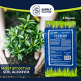 thumbnail image 4 of Supply Solutions Ammonium Sulfate Plant Food - Ideal for Winter Fertilizer - for Deep Green Plants Acid Loving Plants (5 Pounds), 4 of 9