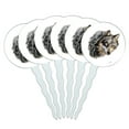 thumbnail image 1 of Wild Wolf Head Cupcake Picks Toppers Decoration Set of 6, 1 of 7