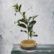 thumbnail image 4 of Flor Kenzan,Flor Redonda Kenzan Arreglo Floral Denso Kenzan Redondo Kenzan Diseño A Prueba De Futuro, 4 of 13