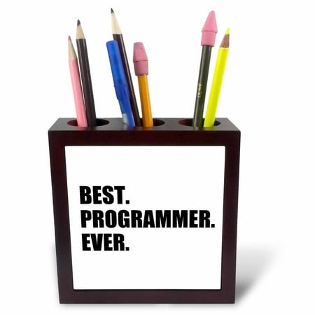 3dRose Best Programmer Ever, fun gift for talented computer programming, text, Tile Pen Holder,