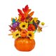 thumbnail image 2 of Calabaza de Halloween, modelo de calabaza falsa, adorno de calabaza artificial decorativo, decoración de Halloween para escritorio, hogar, regalos Estilo C, 2 of 6