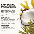 thumbnail image 5 of Pacifica Beauty Sea Foam Complete Face Wash Mini for Daily Gentle Cleansing with Coconut Water + Sea Algae, Combination & Oily Skin, Vegan & Cruelty Free, 1.4 fl oz., 5 of 15