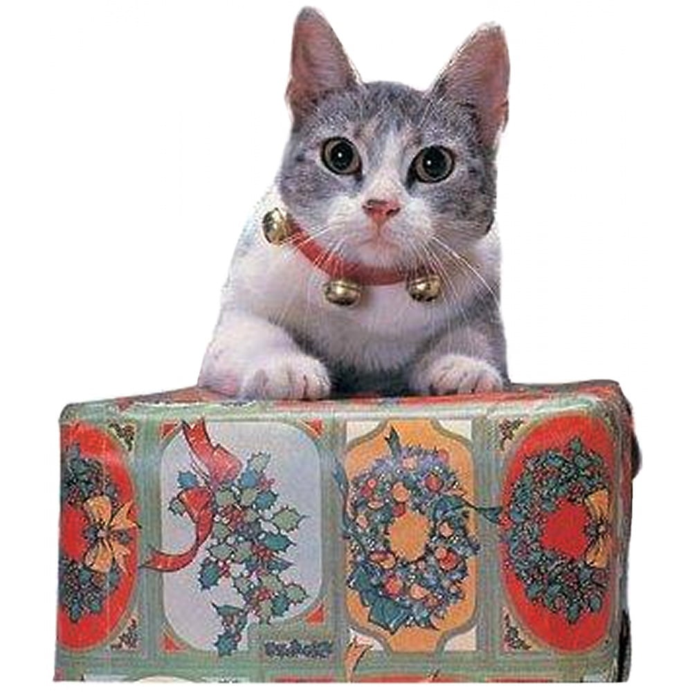 Jingle Bell Accessory for Cat Collar