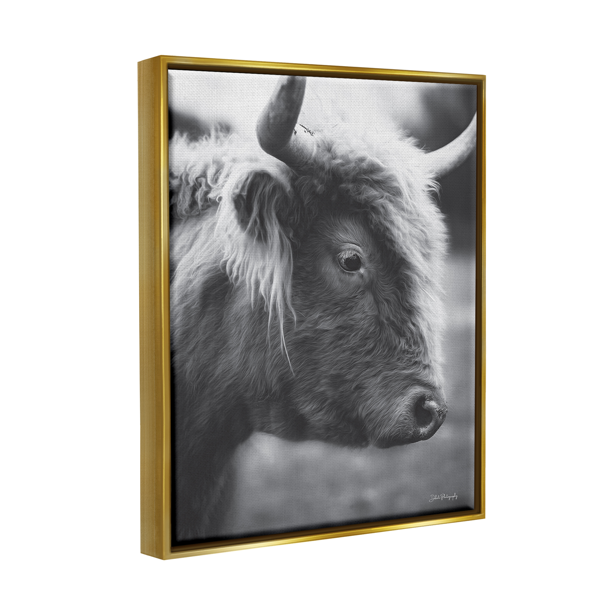 Stupell Close Up Cattle Face Photography Animals & Insects Photography Gold Floater Framed Art Print Wall Art