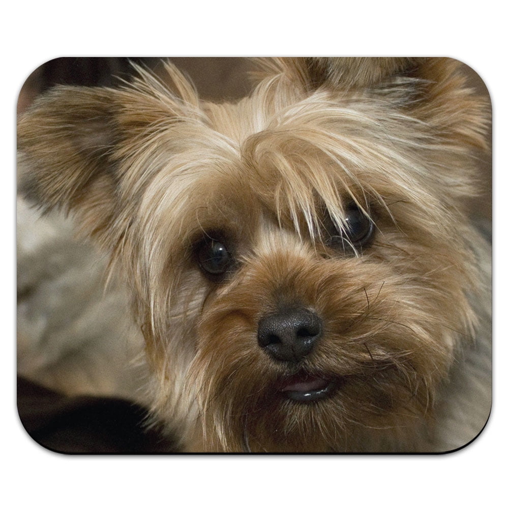 Yorkshire Terrier Yorkie Dog Mouse Pad