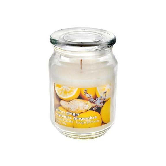 18Oz Jar Ctrs Gngr