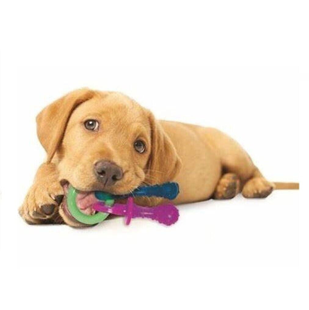 Puppy Teething Keys, Rings or Pacifiers Durable Dog Dental Health Chew Toys (Full Set - 3 Small Teething Toys)