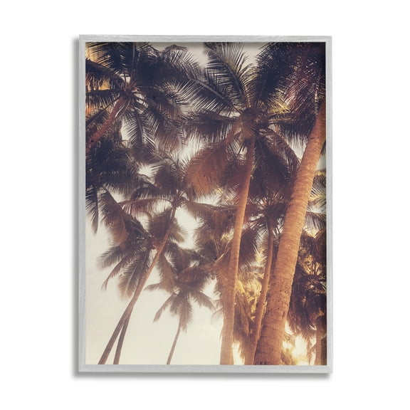 Stupell Indtries Sun Bleached Palm Tree Tops Vintage Summer Sky,16 x 20,Design by Acosta