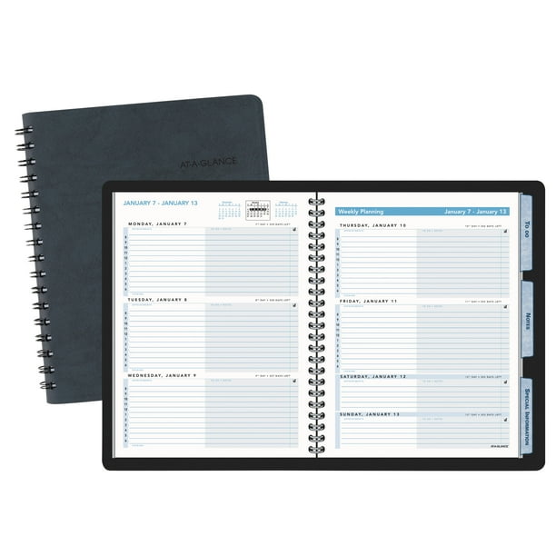 82  At A Glance The Action Planner Recycled Daily Appointment Book with Best Writers