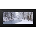 thumbnail image 2 of Frank, Assaf 24x12 Black Modern Framed Museum Art Print Titled - Canal through forest, 2 of 5