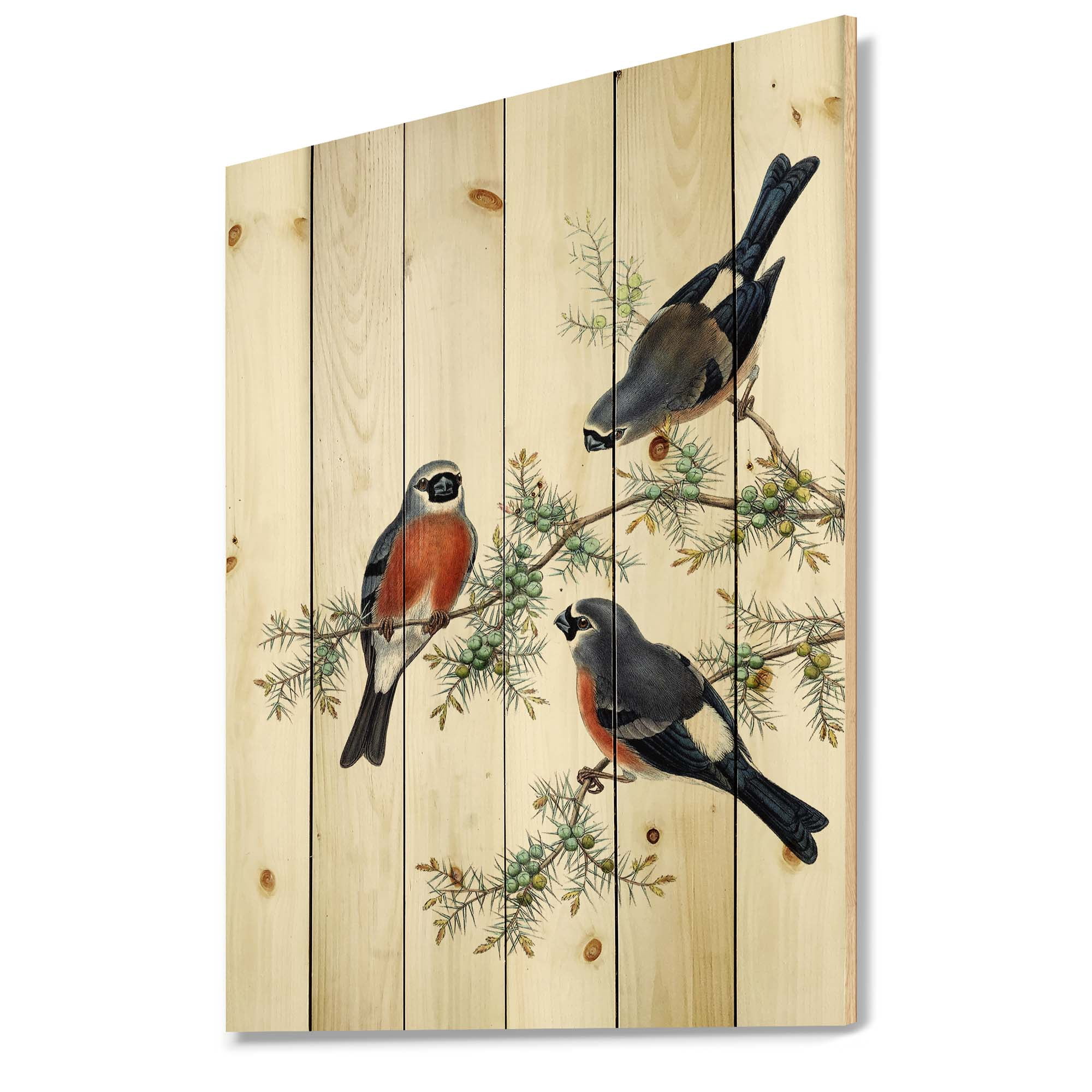 Designart 'Vintage Countryside Birds On Branch III' Farmhouse Print on Natural Pine Wood