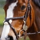 thumbnail image 2 of El amuleto protege a este jinete y al caballo en el que montaba, 2 of 9