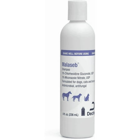 Bayer Malaseb Medicated Skin Care Dog and Horse Shampoo
