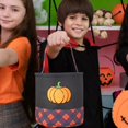thumbnail image 4 of Organizador De Tela Con Diseño De Calabaza Para Halloween Para El Salón Y El Dormitorio, Textil Para El Hogar, 4 of 6