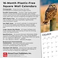 thumbnail image 6 of Owls | 2026 12x24" (Hanging) Square Wall Calendar | Plastic-Free, 6 of 9
