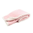 Tadpoles Popcorn Plush and Sherpa UltraSoft Baby Blanket