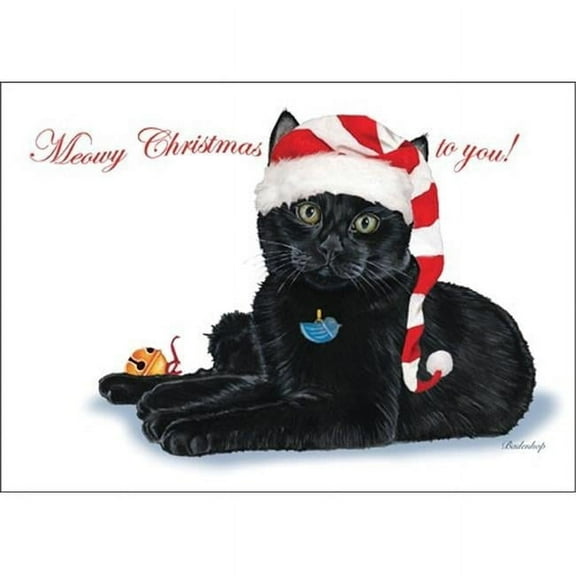 Pipsqueak Productions C730 Black Cat Cat Christmas Boxed Cards - Pack of 10