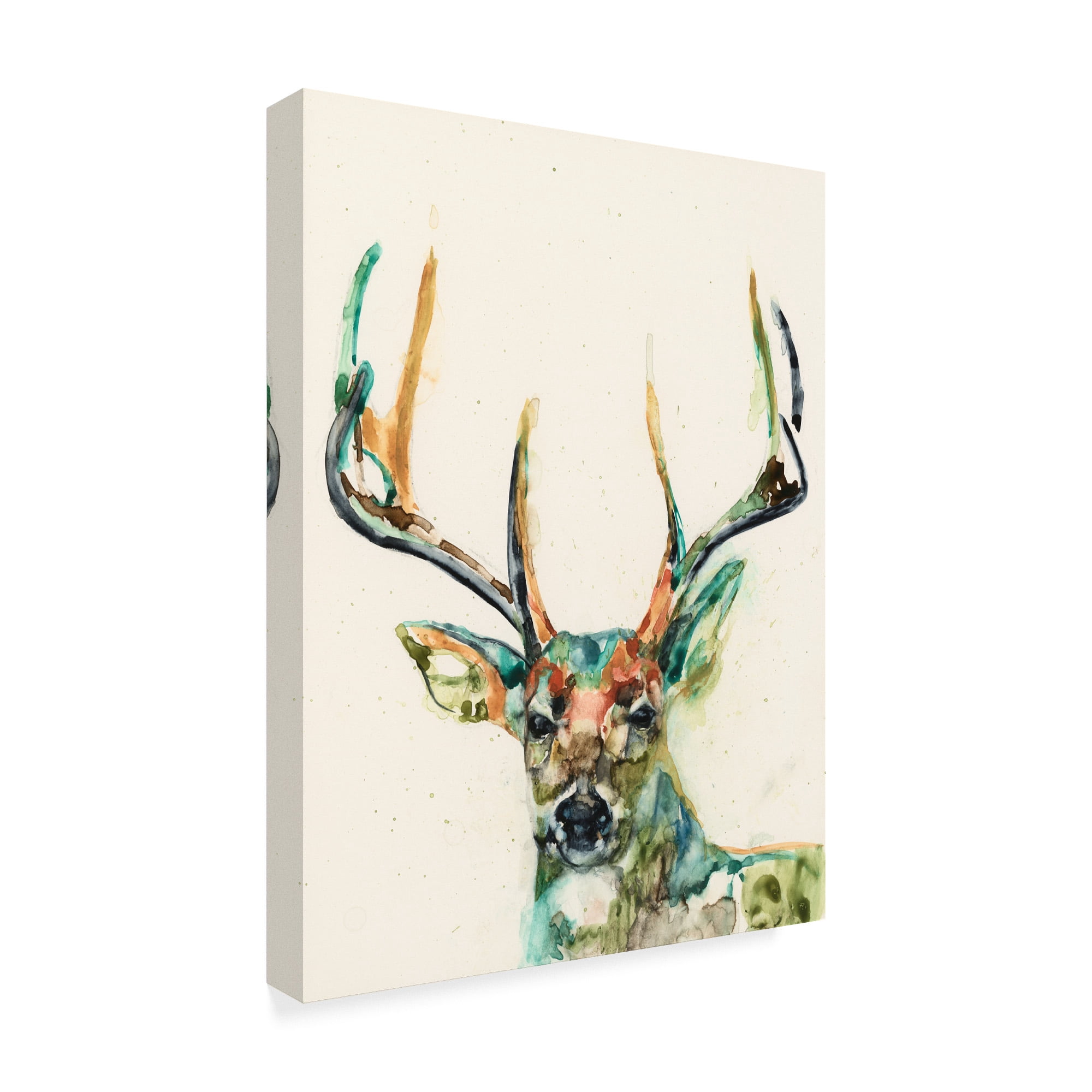 Trademark Fine Art 'Hi Fi Wildlife II' Canvas Art by Jennifer Goldberger