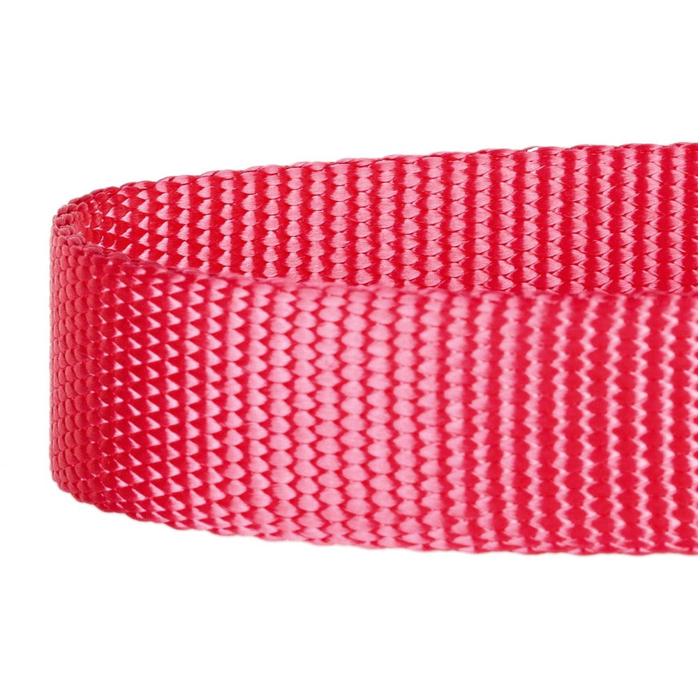 Blueberry Pet Classic Nylon Dog Collar, French Pink, Medium