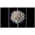 thumbnail image 2 of Fleur de Dahlia Isolée en Noir - Impression sur Toile d'Art Floral, 2 of 3