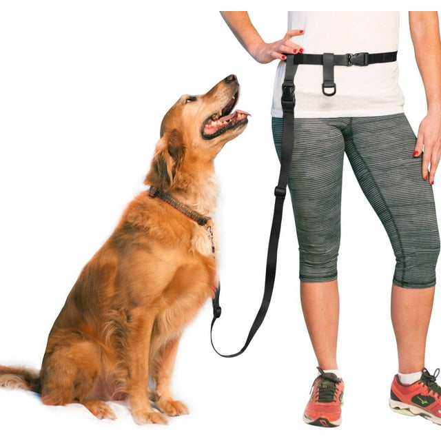 Shiyou-laisse pour Chien Mains Libres Réglable, Laisse Mains Libres pour Course, Jogging, Marche, Randonnée et Entraînement Chiens, Polyvalent Toutes Tailles de Chiens - Fabriqué aux États-Unis - Très Grand, Noir