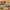 Multicolor, variant on Lyinloo Toys Clearance Under $2.00 4pcs Airplane Toy, Pull Back Planes, 16 Style Toy Airplanes, Helicopters, Fighter Jets Great Toddlers Boys Girls 2 3 4 5 6 7 8 Years Old