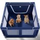 thumbnail image 1 of Parque infantil para mascotas pequeñas Zikopomi Puppy Indoor 42 x 42 x 25 pulgadas, 1 of 6