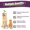 thumbnail image 3 of Amber NaturalZ TYD Thyroid Balance for Pets| Herbal Pet Supplement for Thyroid Health 1oz, 3 of 7