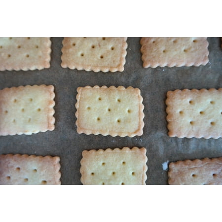 - Laminated Poster Cookie Springerli Aniseed Biscuits Springerle Poster Print 11 x 17