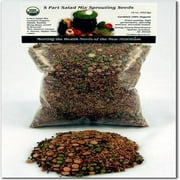 Handy Pantry Organic 5-Part Salad Sprouting Mix - 16 oz