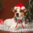 thumbnail image 5 of Festive Holiday Pet Neck Scarf Dress Up Accessory for Cats and Dogs with Adjustable Collar Design, 5 of 5