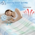 thumbnail image 3 of Blue Pink Plaid Cooling Blanket,Lightweight Breathable Summer Throw Blanket with Double Sided Cold Effect,Pastel Green White Buffalo Patchwork Picnic Blankets Bed Sheet for Hot Sleepers 30"x40", 3 of 8